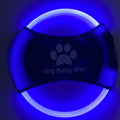Glow Fetch LED Flying Disc