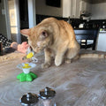 Chase Bloom Cat Toy