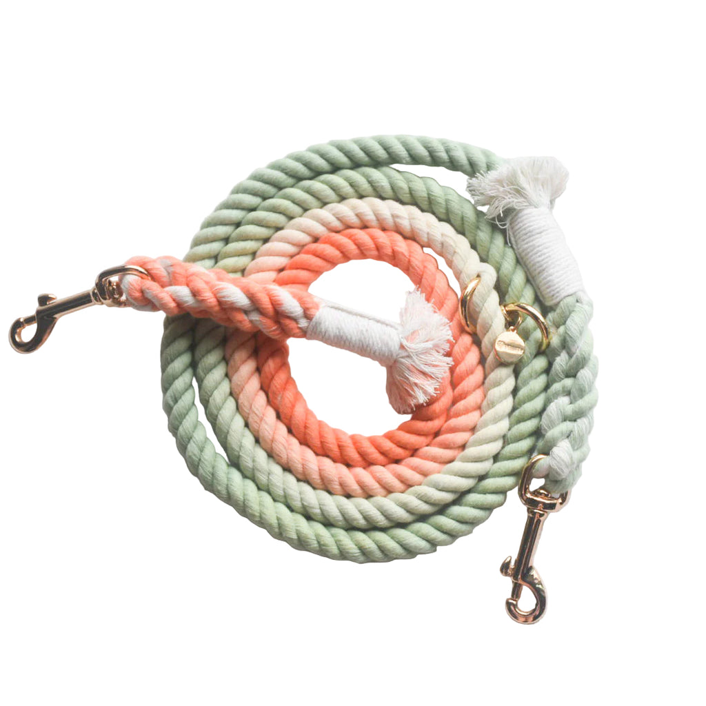 HANDS FREE DOG ROPE LEASH - BUBBLE SODA